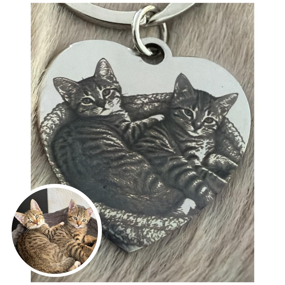 Hartvormige sleutelhanger met foto-gravure van twee kittens